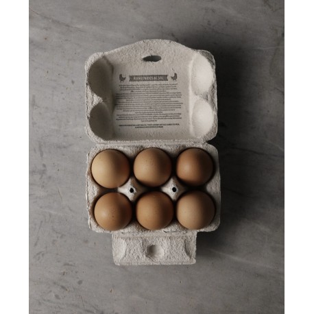 6 Huevos ORGANICOS FREE RANGE